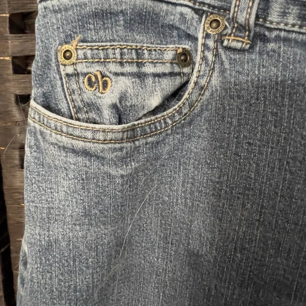 Christopher & Banks Ashburn Jeans 16P High Rise Classic Straight Stretch 34x26